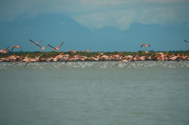 Gobierno nacional actualiza la Política Nacional del Agua con enfoque de protección y justicia ambiental