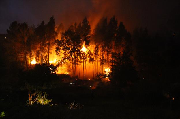 Colombia mantiene la alerta por los incendios forestales.