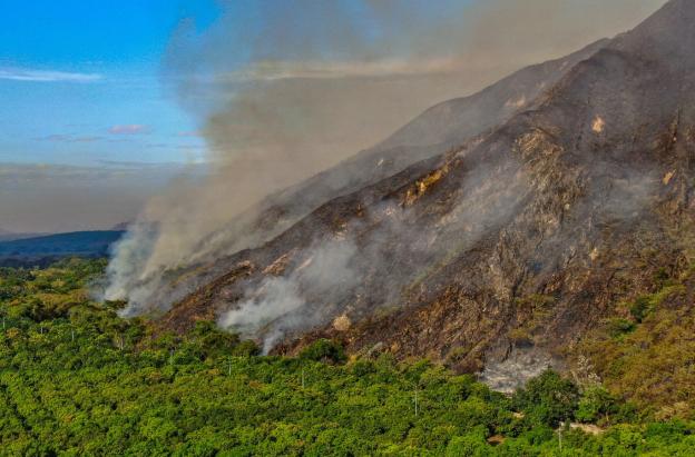 Más de $9.000 millones y ayudas para el campo: así será la recuperación del Tolima tras los incendios forestales