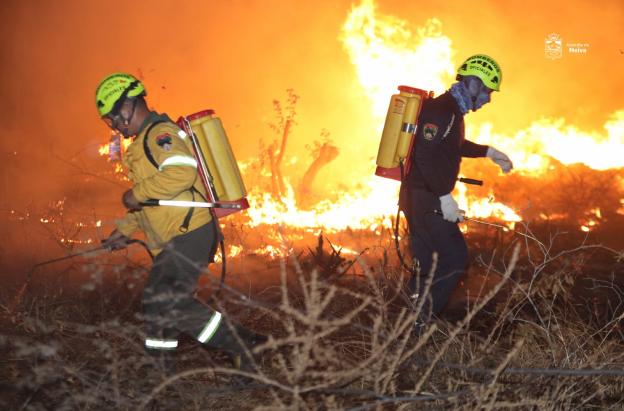 Una colilla, una fogata, un desastre: así puede prevenir incendios forestales