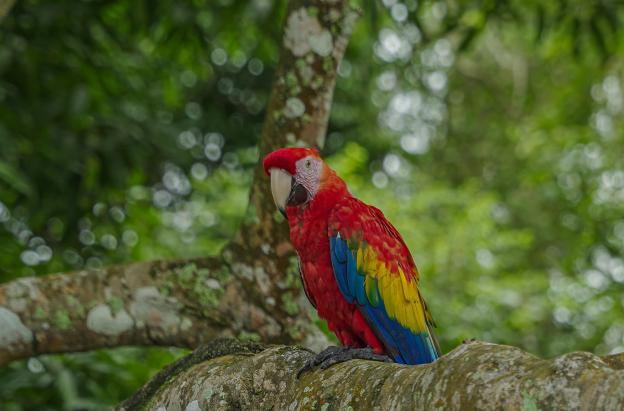 Medellín será la capital mundial del Climate Week 2026
