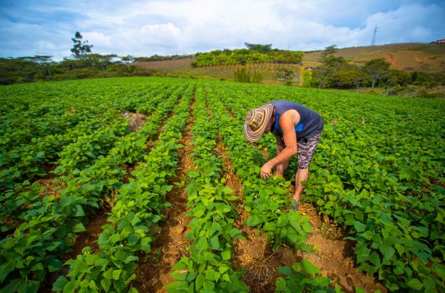 Emergencia económica por El Niño: alistan congelamiento de deudas por $55 billones para el agro