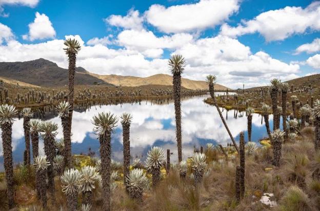 En los Andes, El Niño seca el agua de la que depende el 70 % de los colombianos