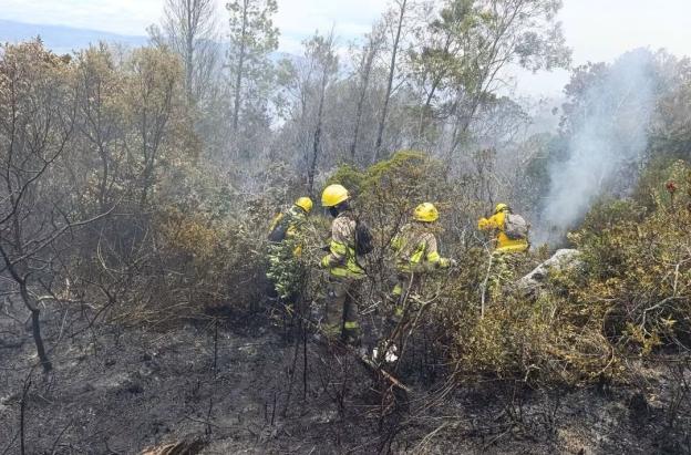 Incendio en el cerro de San Marcos está casi controlado, según confirmó la UNGRD
