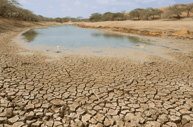 No te pierdas hoy el especial sobre los retos en Colombia ante el fenómeno El Niño por RTVC
