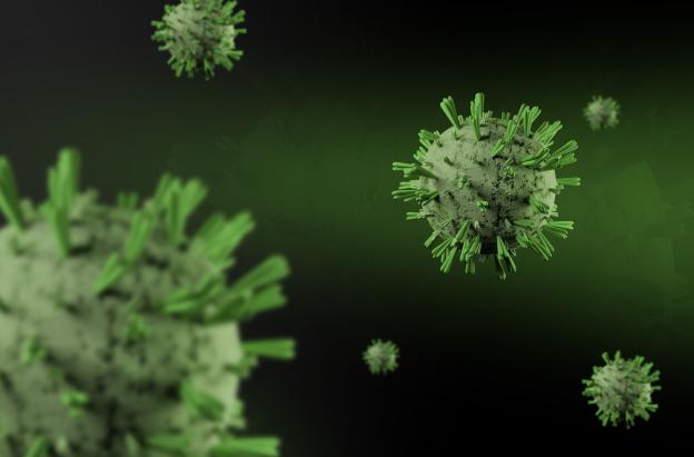 Francia reporta el primer fallecido por el virus Shamonda