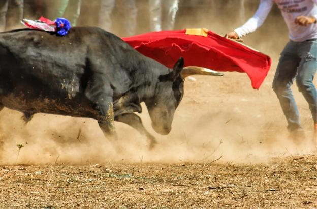 Manizales aplaza Corridas De Toros por normativa nacional antitaurina