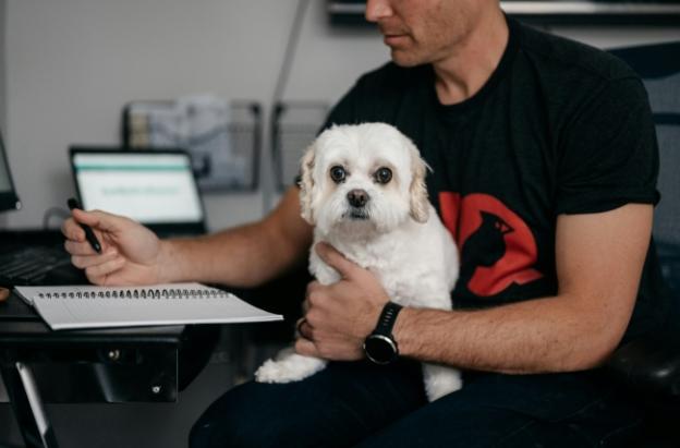 ¿Puede llevar a su perro o gato al trabajo? Estas son las reglas que Colombia está por definir