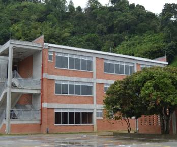 Procuraduría investiga presunto abuso sexual contra seis niñas en colegio de Ibagué