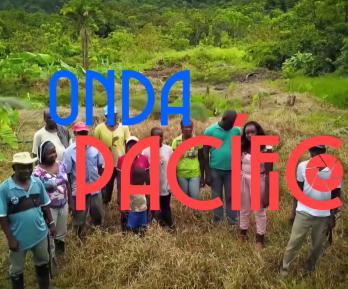Onda Pacífico