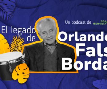 Orlando Falls Borda