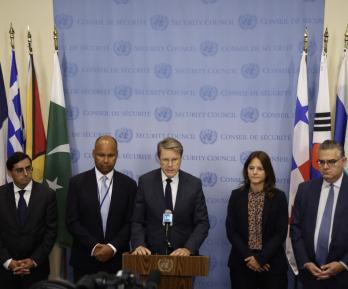 Declaración pública ONU.