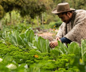 Colombia impulsa su transformación económica con reforma agraria histórica