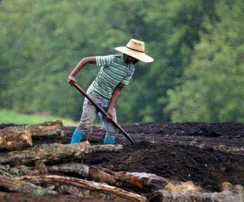 Desempleo en Colombia baja a 8,8% en julio de 2025