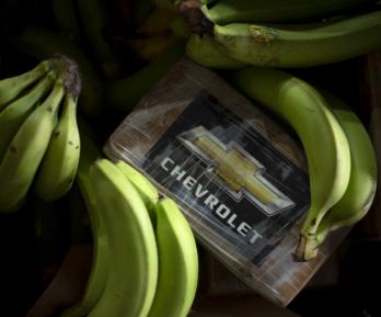 Droga escondida en cargamento de banano.
