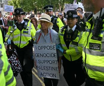 Manifestante en Londres.