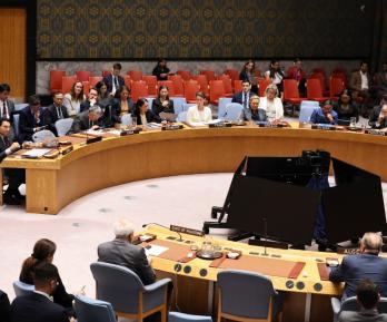 Consejo de Seguridad de la ONU.