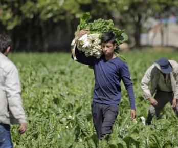 Colombia registra la tasa de desempleo más baja en 24 años para el mes de agosto