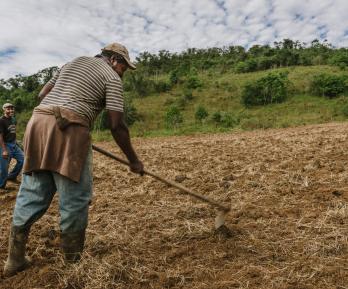 Agro colombiano genera 4,8 millones de empleos