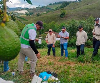 Colombia en más mercados internacionales. / Foto: ICA.