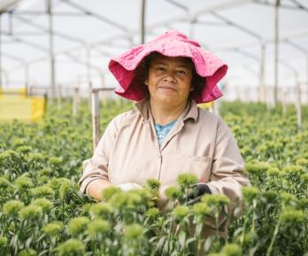 Impulso a la economía colombiana en las mujeres. / Foto: Dirección de Mujer Rural.