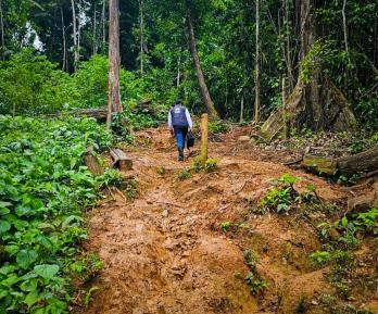Petro ordena despliegue militar en el Darién 