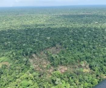 La ofensiva, autorizada por el presidente Petro, busca debilitar el poder militar y narcotraficante de las disidencias comandadas por alias Mordisco en el sur del país. 