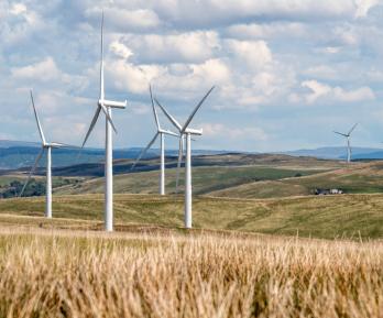 La caída del 42 % en los precios energéticos se debe a que el país generó el 90 % de la energía a través de energías limpias como la solar, hidráulica y biomasa. 