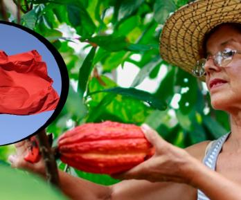 China abre sus puertas al agro colombiano en la VIII Exposición Internacional de Importaciones