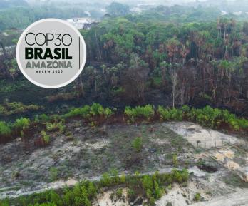 COP30 en Brasil. / Fotos: AFP.