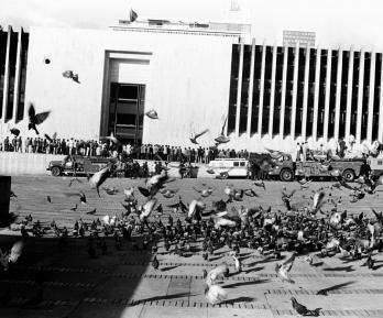 Palacio de Justicia.