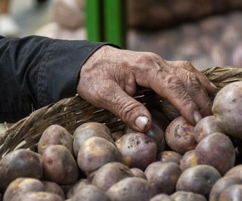 Inflación de noviembre desciende a 5,30% impulsada por caída en precios de alimentos
