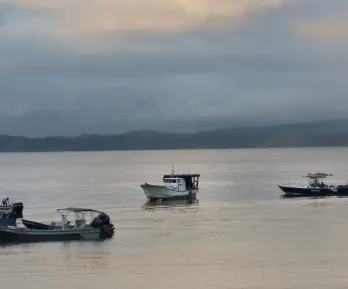 Primera denuncia formal ante organismo internacional por ejecuciones extrajudiciales en el Caribe