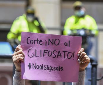 Retiran estudio que negaba riesgo cancerígeno del glifosato.