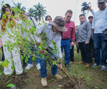 Sustitución de cultivos ilícitos alcanza 26 mil hectáreas en Colombia
