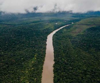 Deforestación en el Amazonas. / Foto: MinAmbiente.