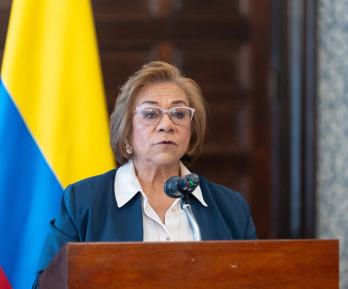 Canciller Rosa Villavicencio.