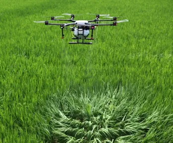 Gobierno autorizó erradicación focalizada de cultivos ilícitos con drones