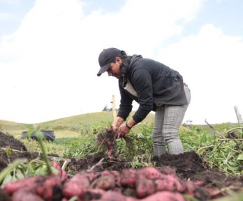 Actividades de agricultura en el ISE 2025. / Foto: X MinAgricultura.
