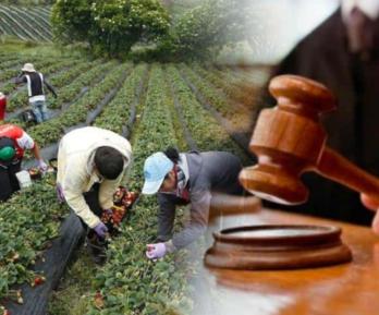 Jurisdicción agraria. / Foto: Senado.