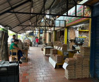 Predios de Cenabastos a Prosperidad Social. / Foto: Prosperidad Social.