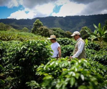 Tasa de desempleo baja en Colombia. / Foto: MinAgricultura.