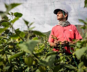 Empleo en Colombia. / Foto: Radio Nacional de Colombia.