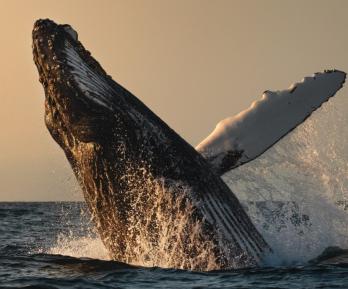 Turismo en Colombia. / Foto: Colombia Travel.