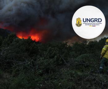 Incendios forestales en Argentina. / Foto: UNGRD y AFP.