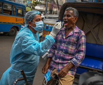 Virus Nipah: alerta en el sudeste asiático pero en el mundo el riesgo es menor