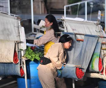 14 de febrero: plazo para consignar cesantías.