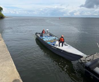 Armada incauta 2,3 toneladas de cocaína en el Pacífico sur.