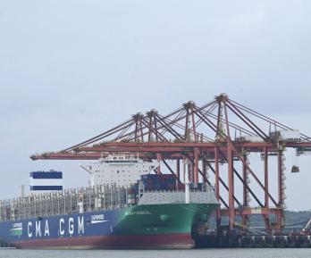 Exportaciones de Colombia cerraron 2025 al alza.