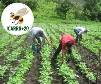 ICARRD+20. / Foto: FAO.
